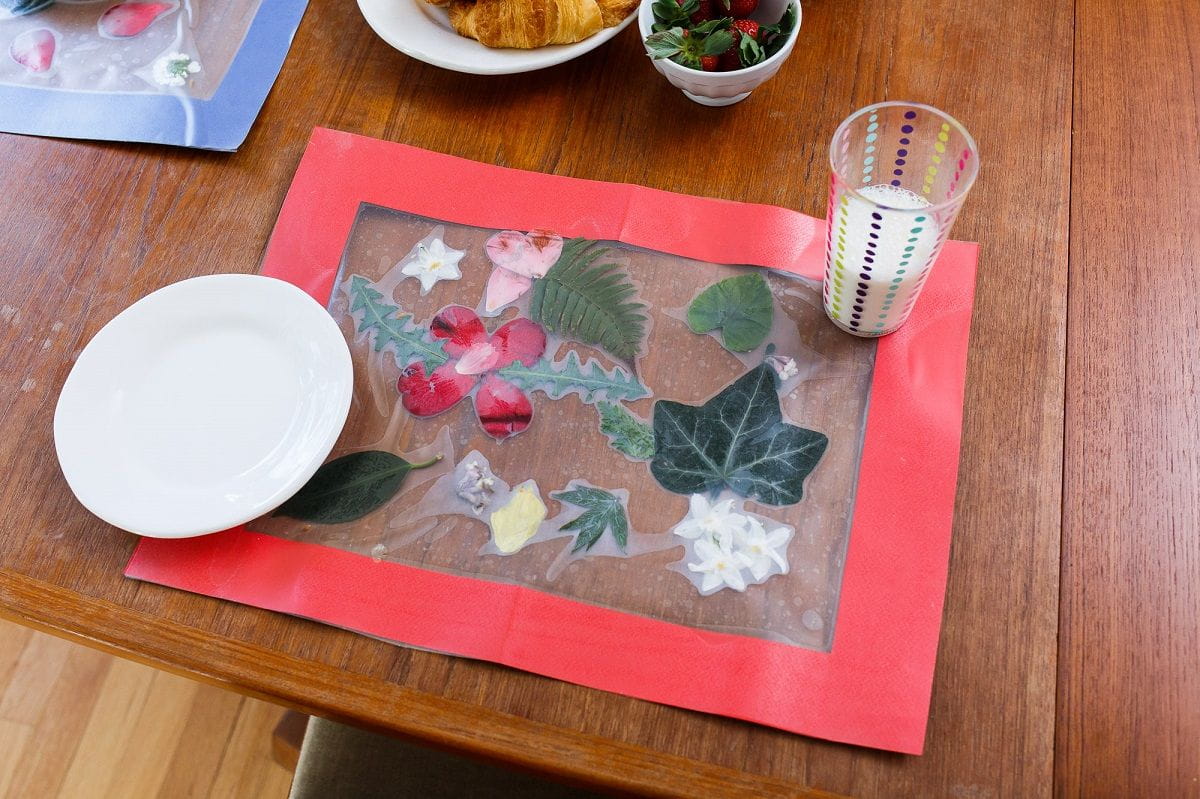 overhead of nature placemat